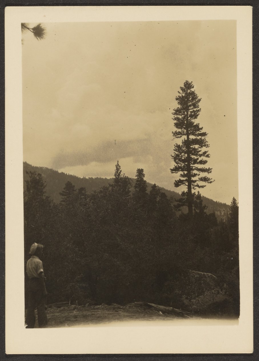 [Idyllwild] tekijältä Louis Fleckenstein
