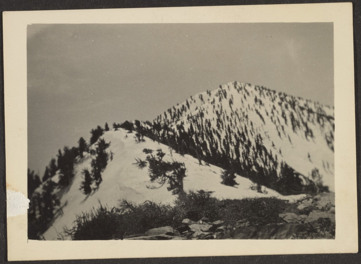 [Teleskooppi Peak] tekijältä Louis Fleckenstein