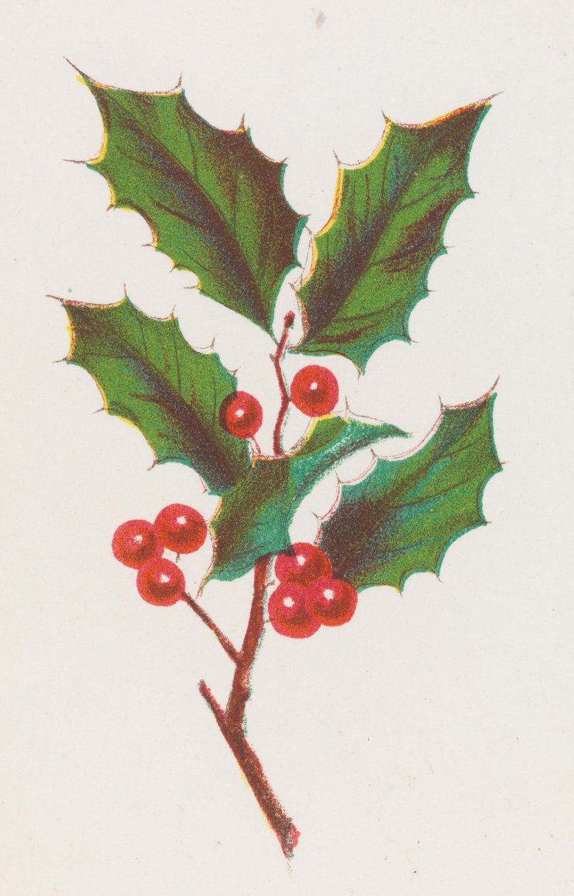 Holly, 1862. tekijältä Louis Prang