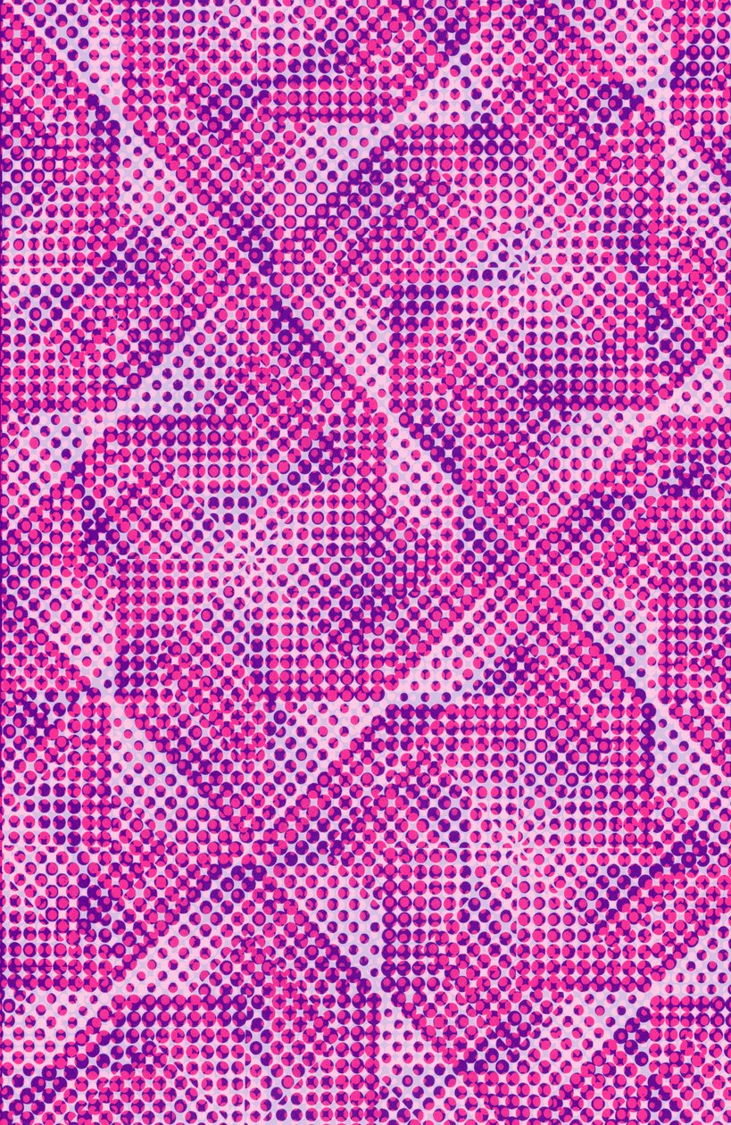 Dotty (digitaalinen) tekijältä Louisa Hereford