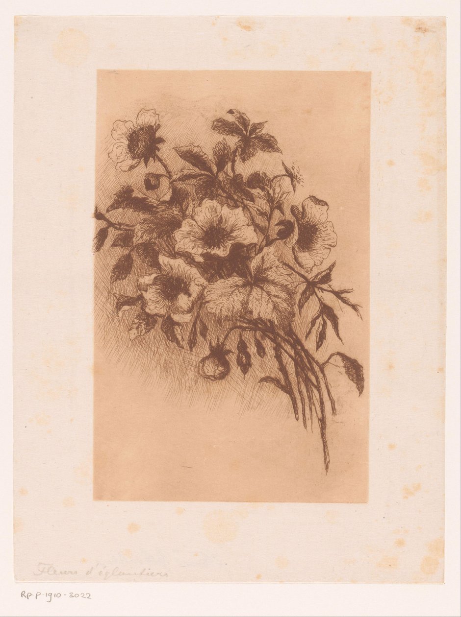 Kukat tekijältä Louise Elsen (attributed to)