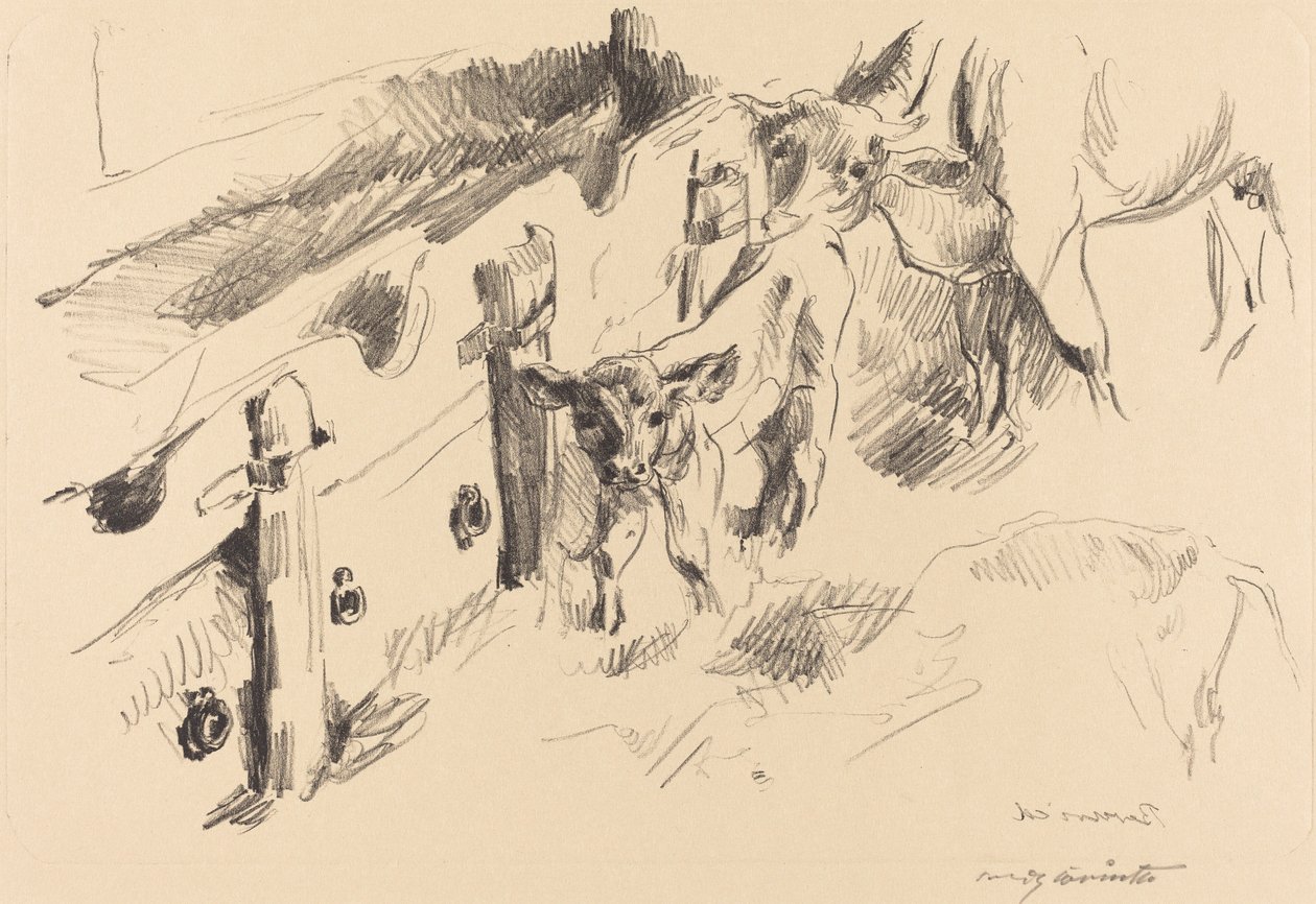 Vasikat Vasikat, 1912. tekijältä Lovis Corinth