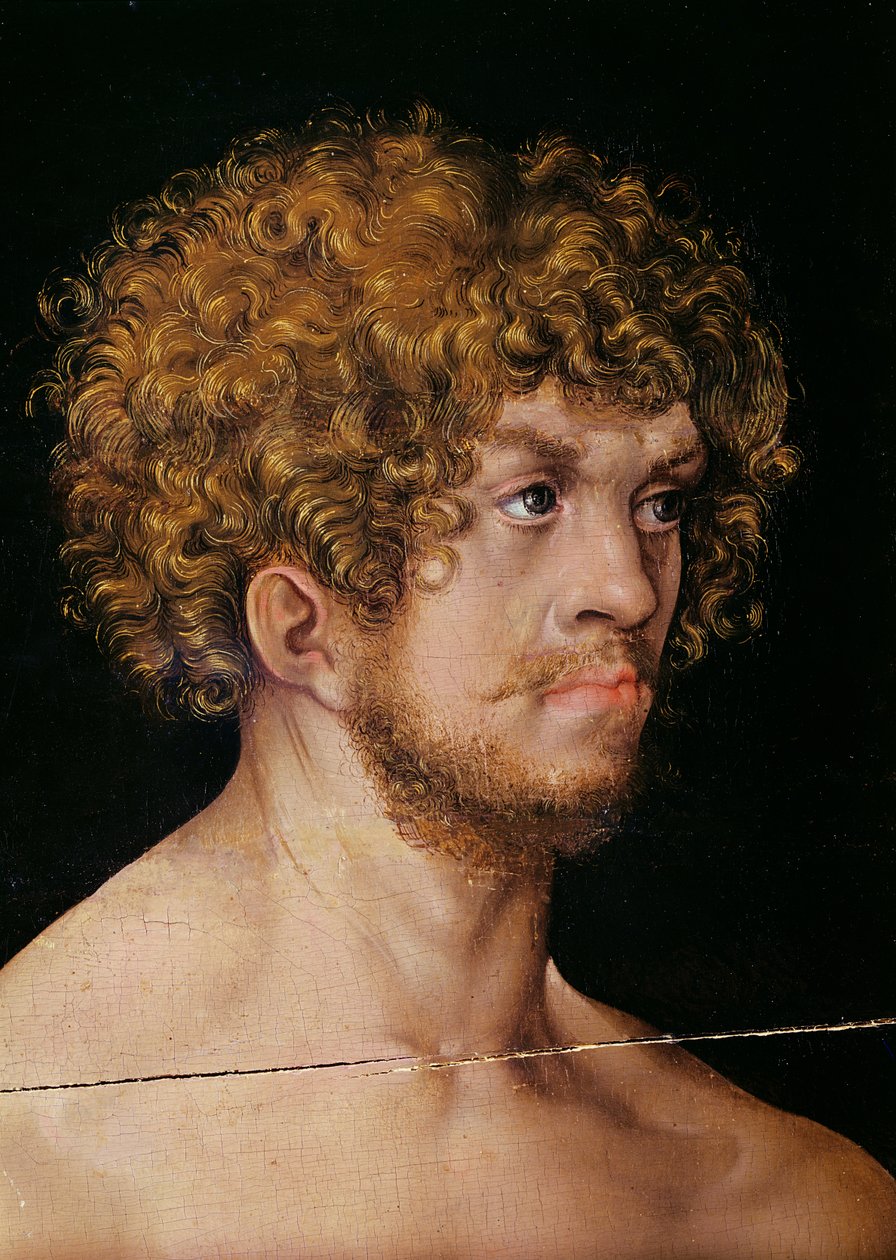 Aatami ja Eeva, Aatamin pään yksityiskohta (kuva 159264) tekijältä Lucas Cranach the Elder