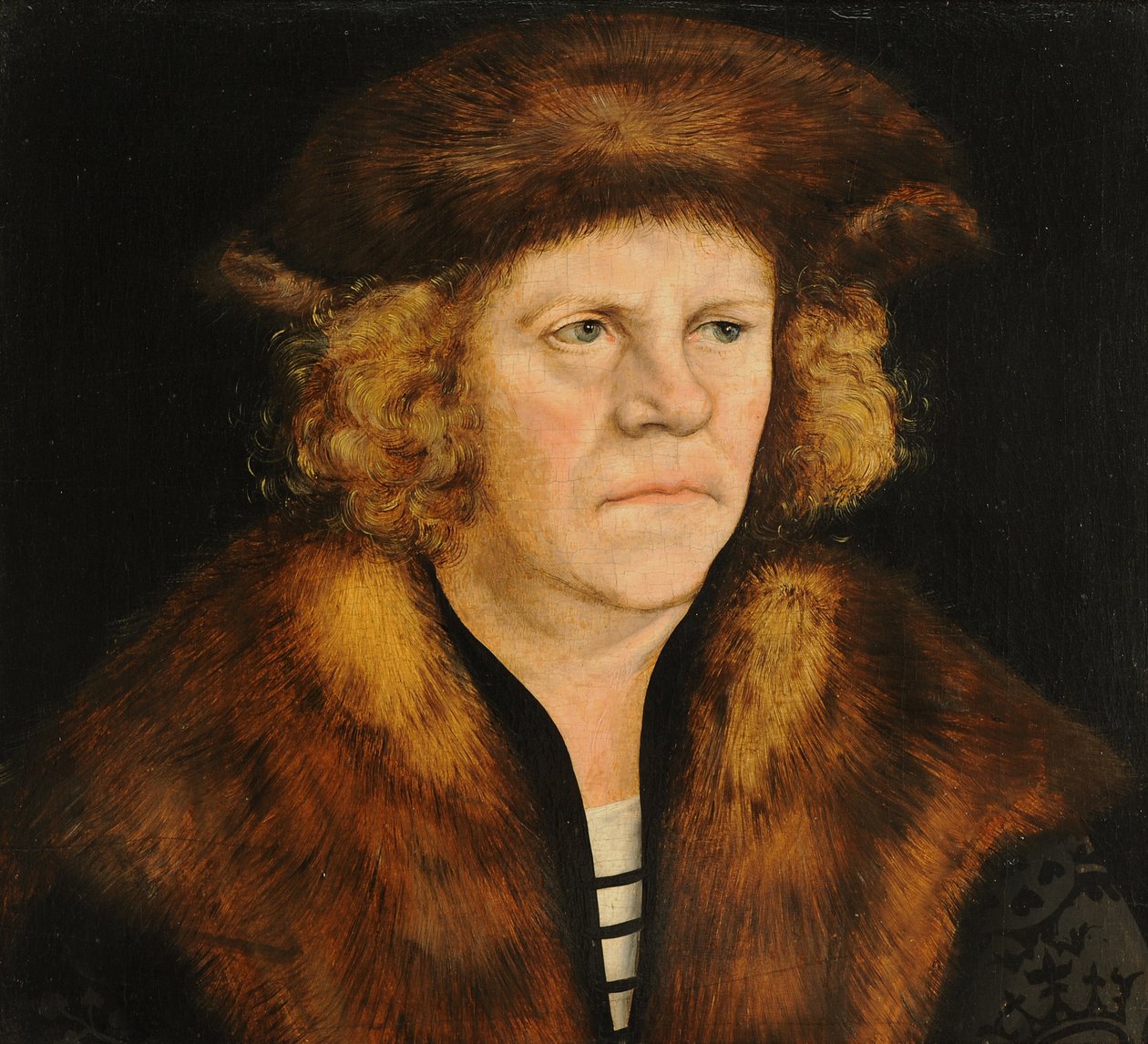 Muotokuva miehestä, jolla on ruskea karvahattu tekijältä Lucas Cranach the Elder