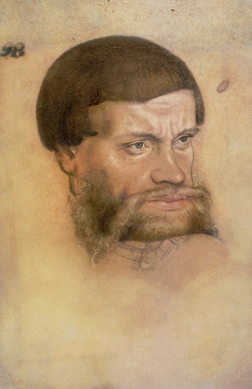 Muotokuvan arvellaan olevan Johannes Vakaasta, Saksin vaaliruhtinas (Crayon ja wc) tekijältä Lucas Cranach the Elder