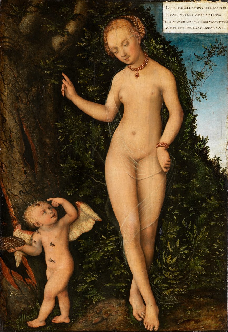 Venus ja Amor, hunajavaras tekijältä Lucas Cranach the Elder