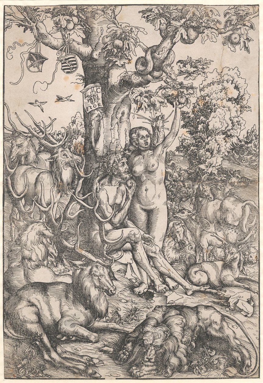 Ihmisen lankeemus tekijältä Lucas Cranach d.Æ.