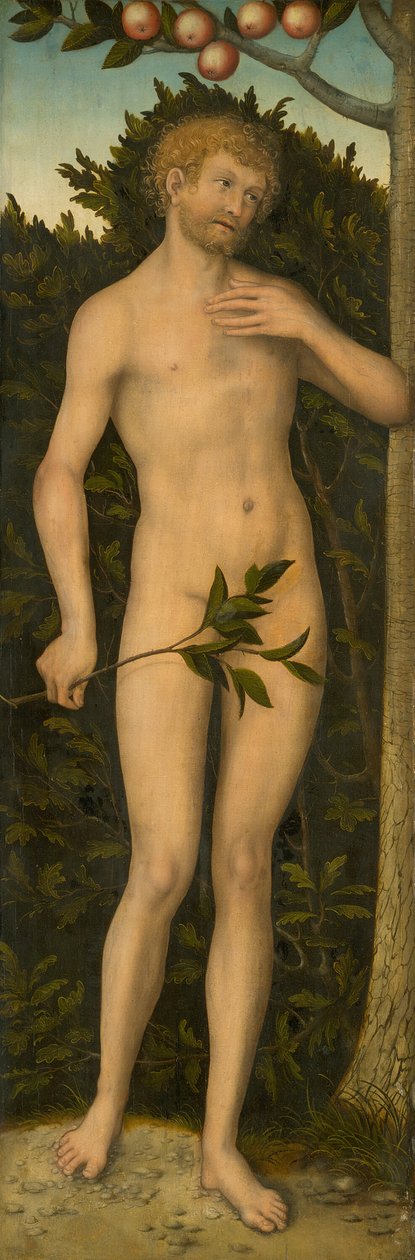 Adam, 153337. tekijältä Lucas Cranach the Elder