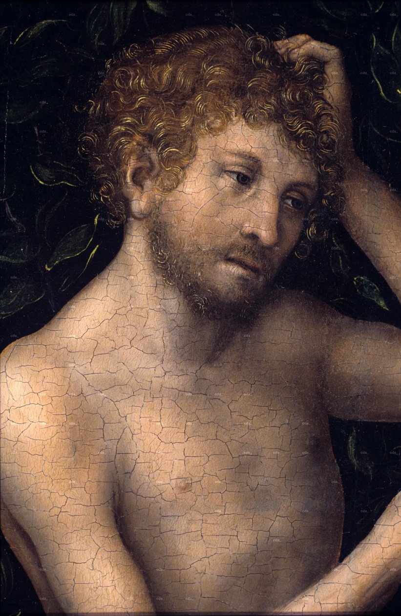 Aatami ja Eeva








































 yksityiskohta tekijältä Lucas Cranach the Elder