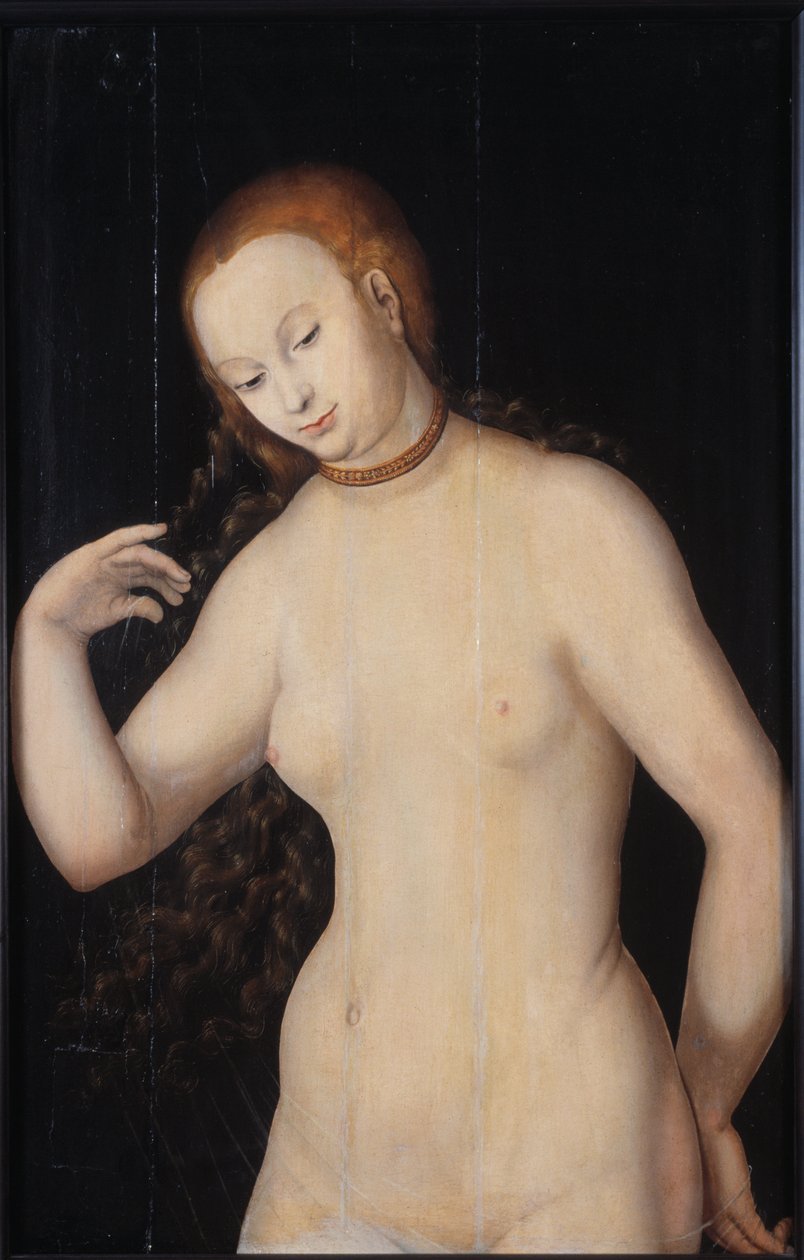 Venus, Vuosien 1527 ja 1531 välillä. tekijältä Lucas Cranach the Elder