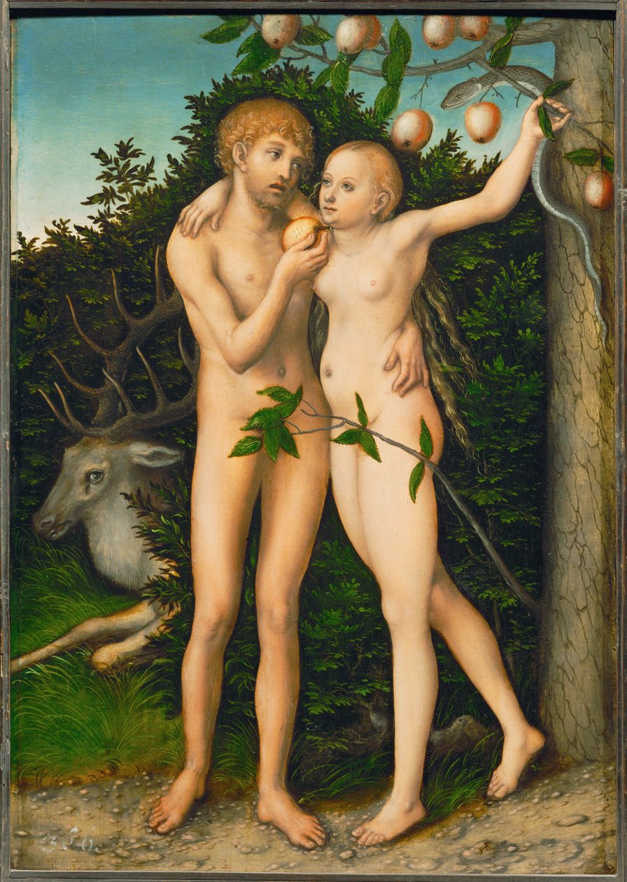 Der Suendenfall - The Fall ... tekijältä Lucas the Elder Cranach
