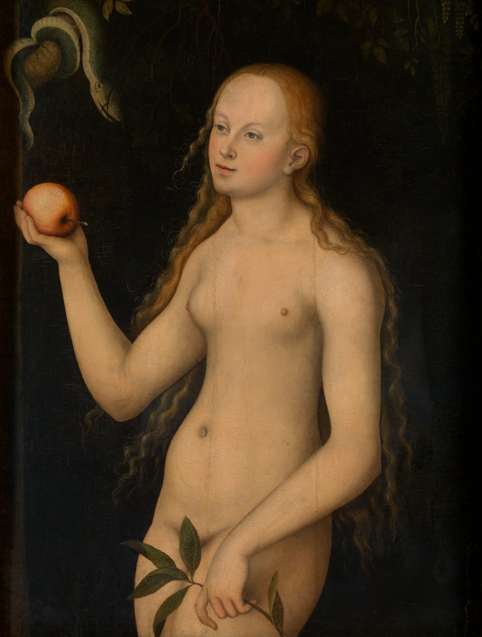 Eve (öljy paneelissa) tekijältä Lucas the Elder Cranach