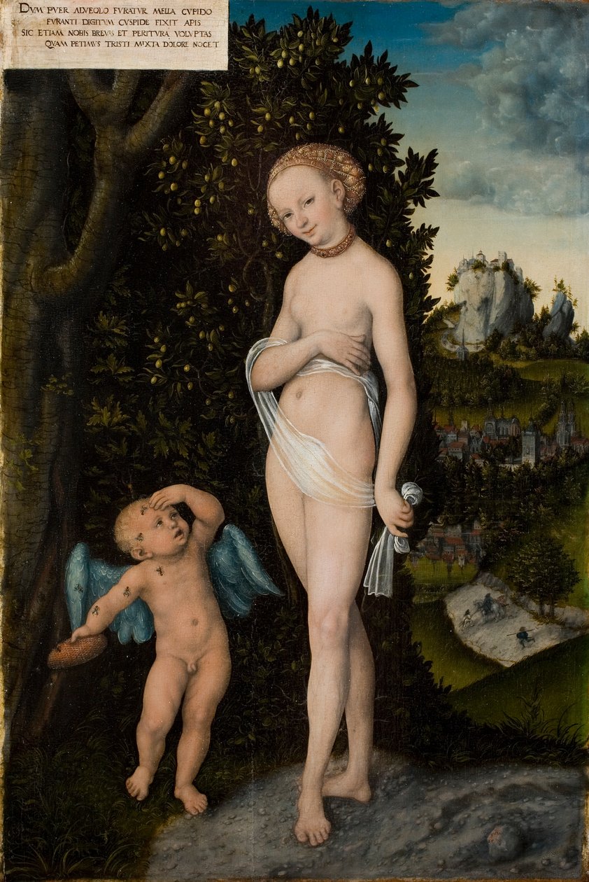 Venus ja Cupid varastaa hunajaa tekijältä Lucas the Elder Cranach
