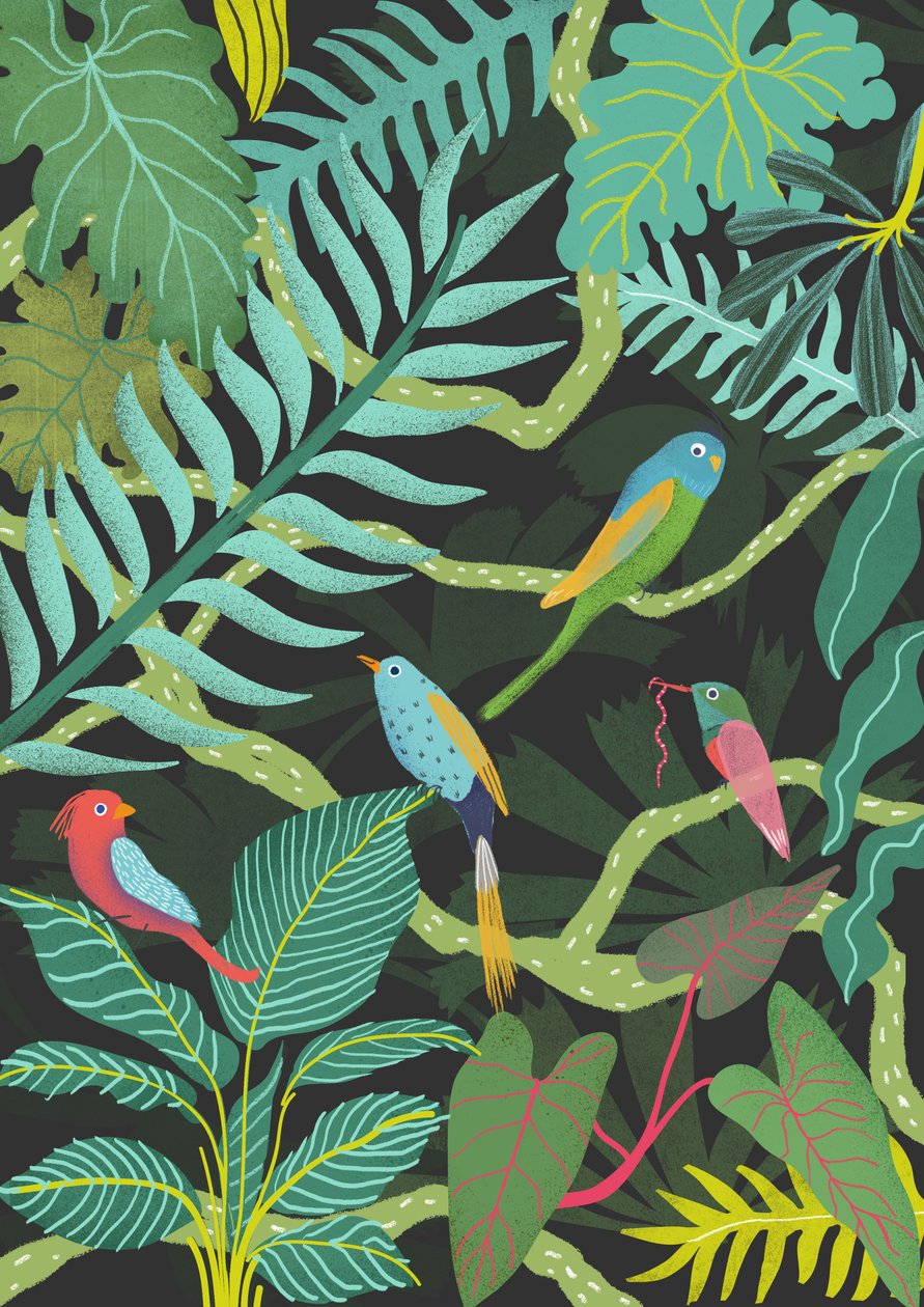 Exotic, 2016 (digitaalinen) tekijältä Lucy Banaji