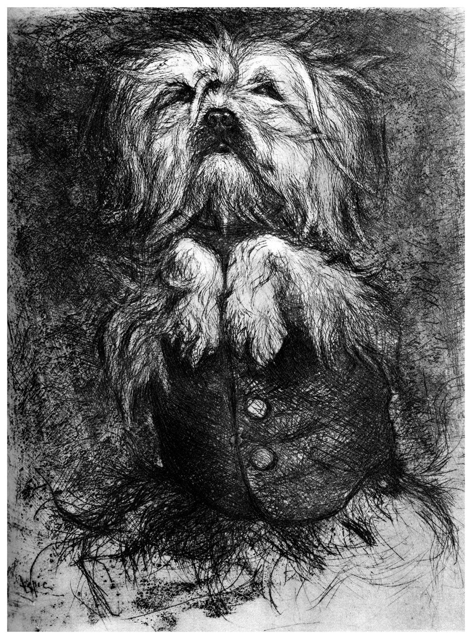 Lintrigant, c1859-1889, 1924 tekijältä Ludovic Lepic