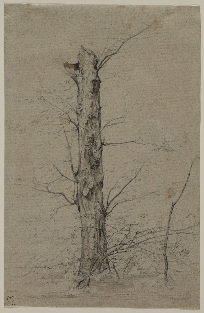 puu, c. 1835-45. tekijältä Ludwig Ferdinand Schnorr von Carolsfeld
