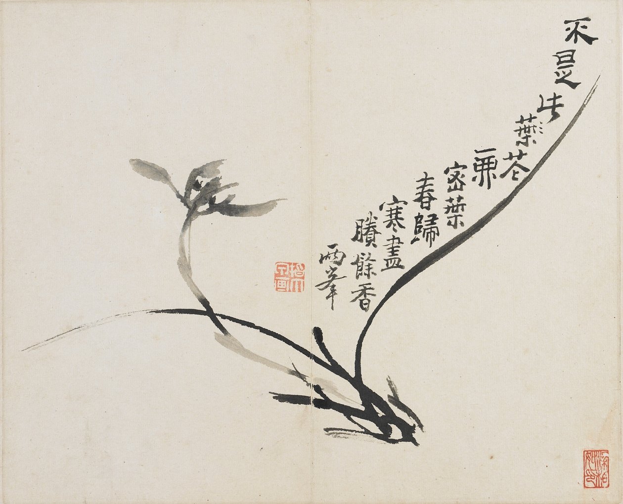 Maisemat, kukat ja linnut: Orkidea, Qing-dynastia, 1780 (muste paperille) tekijältä Luo Ping