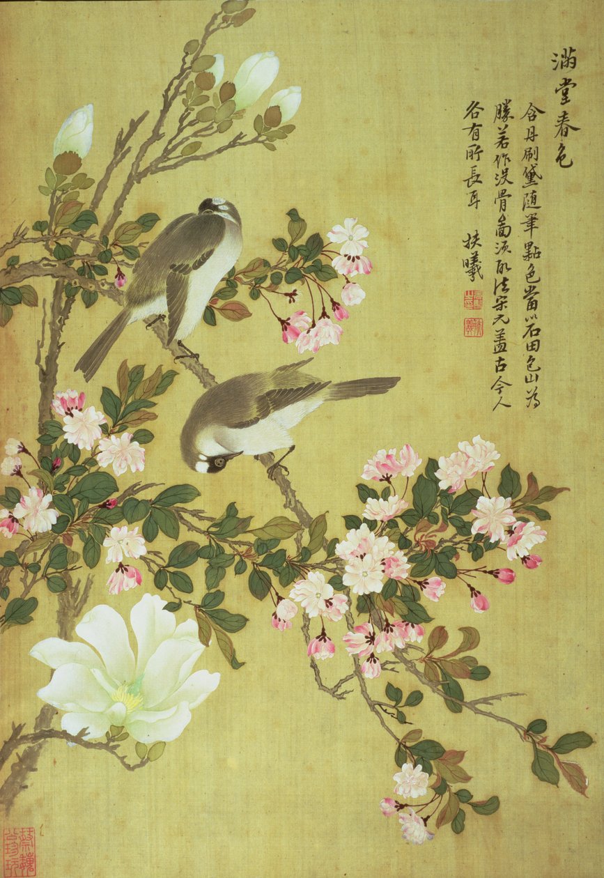 Crabapple, Magnolia ja Baitou Birds tekijältä Ma Yuanyu