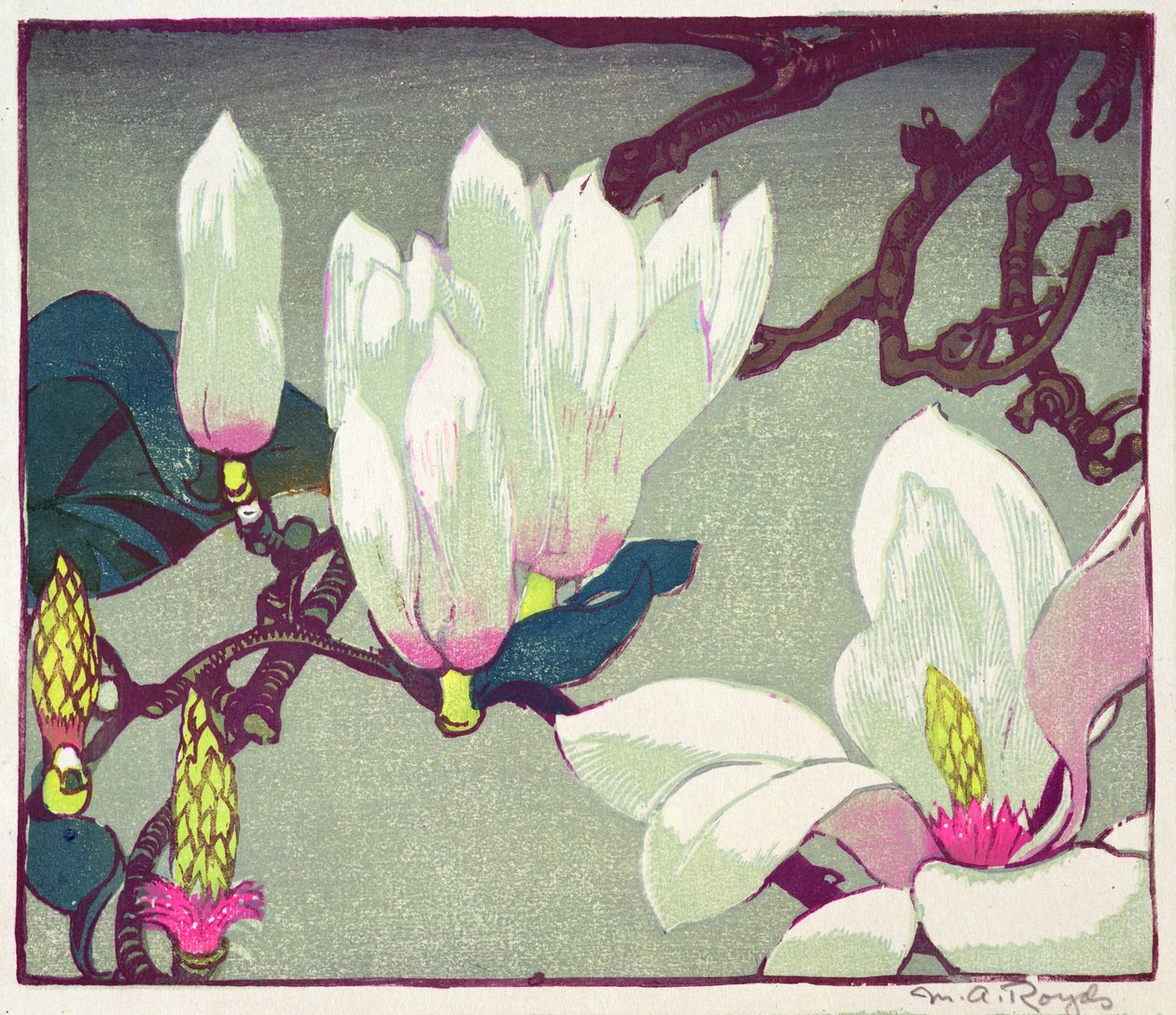 Magnolia, n. 1925 (puupainatus) tekijältä Mabel Royds