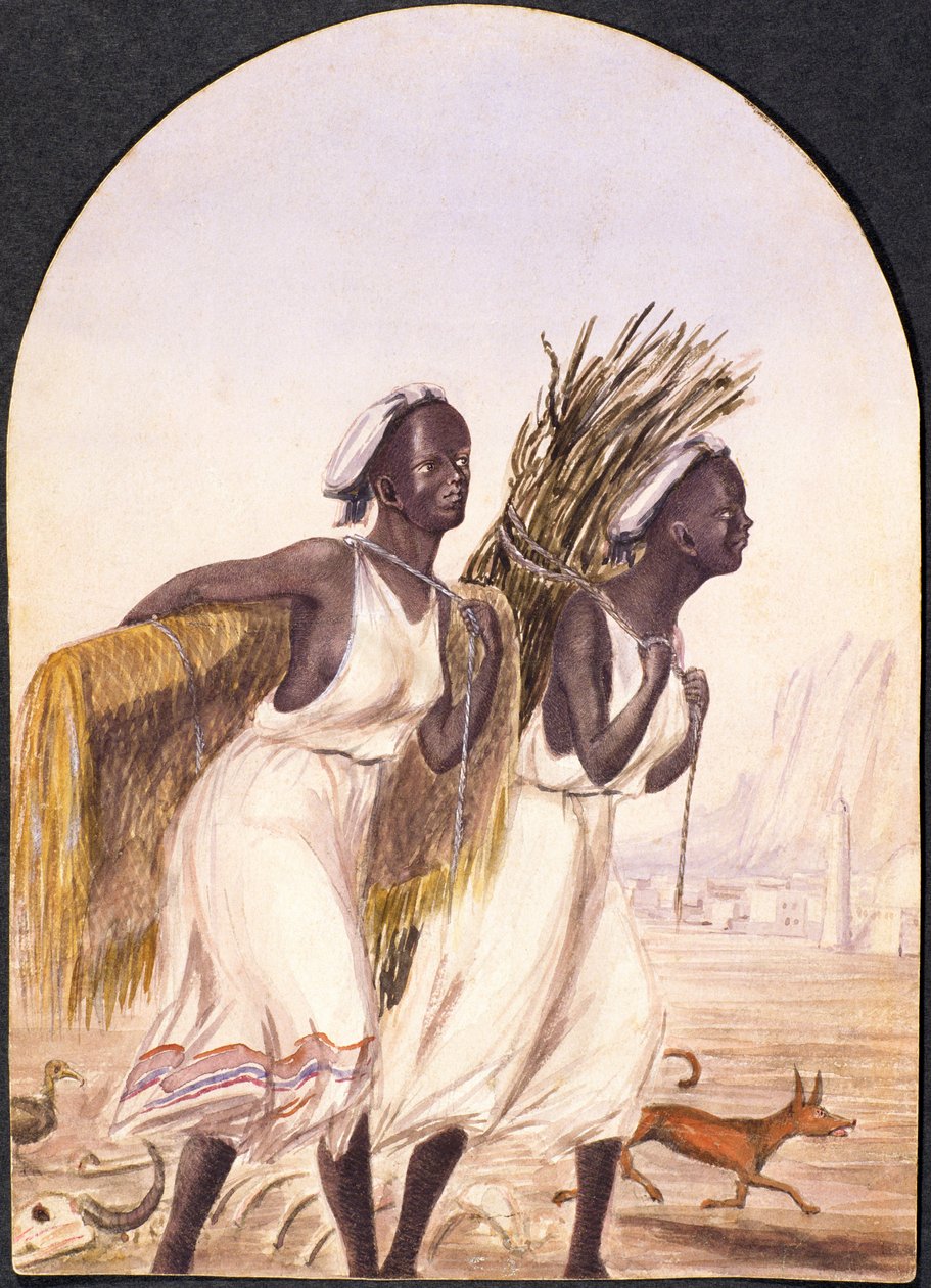 Somalialaiset naiset Adenissa, 1858 (wc paperilla) tekijältä Maitland Warren Bouverie Pasley