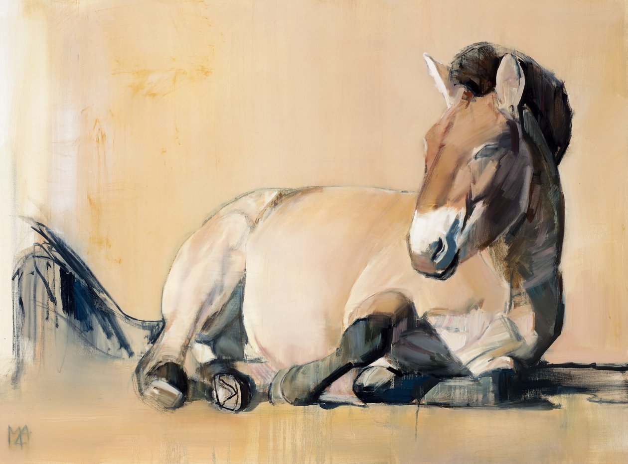 Plateau Sun (Przewalski), 2014, tekijältä Mark Adlington
