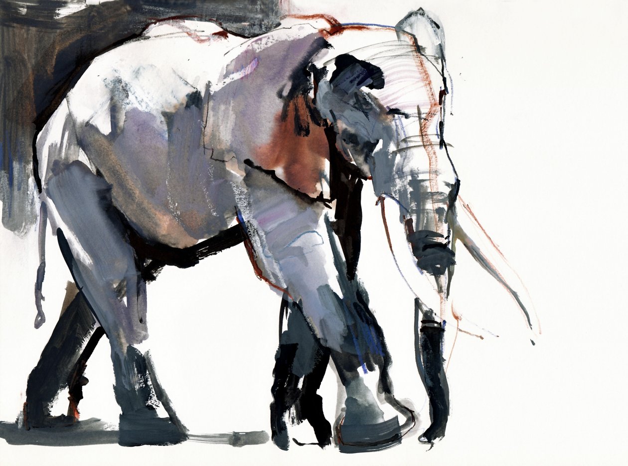African Elephant, 2012, (sekoitettu media paperille) tekijältä Mark Adlington