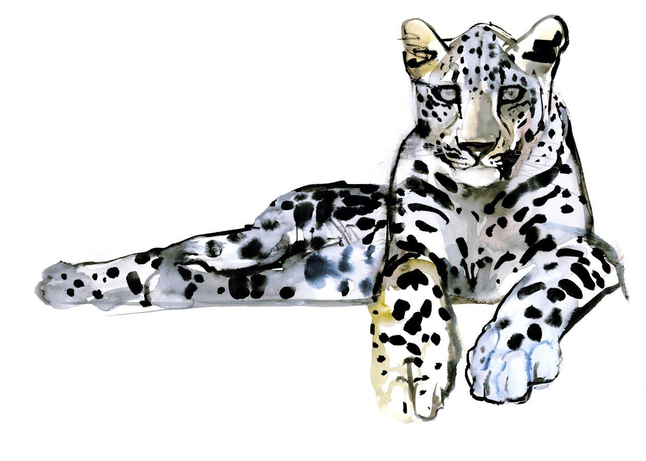 Arabian Leopardi, 2008 tekijältä Mark Adlington