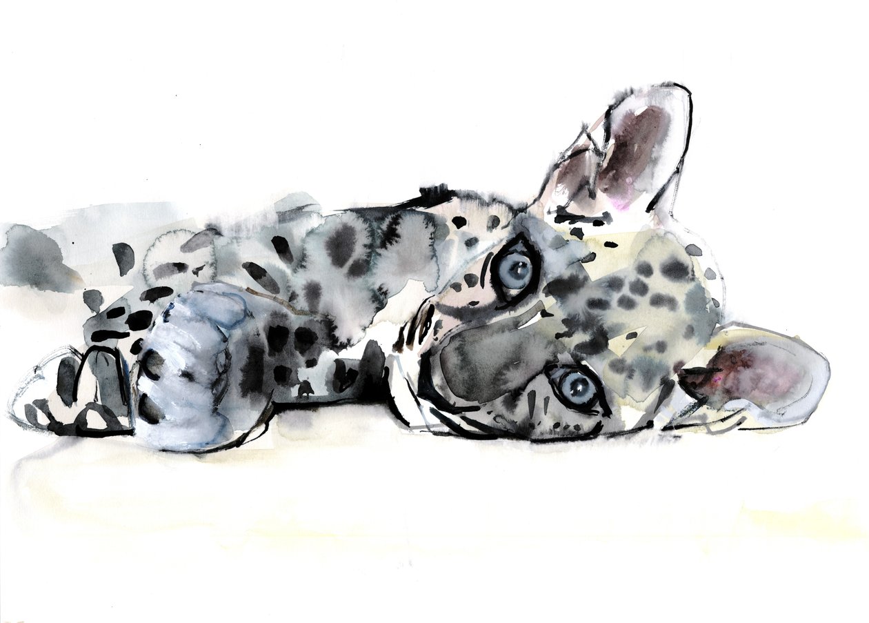 Arabianleopardinpentu, 2008 tekijältä Mark Adlington