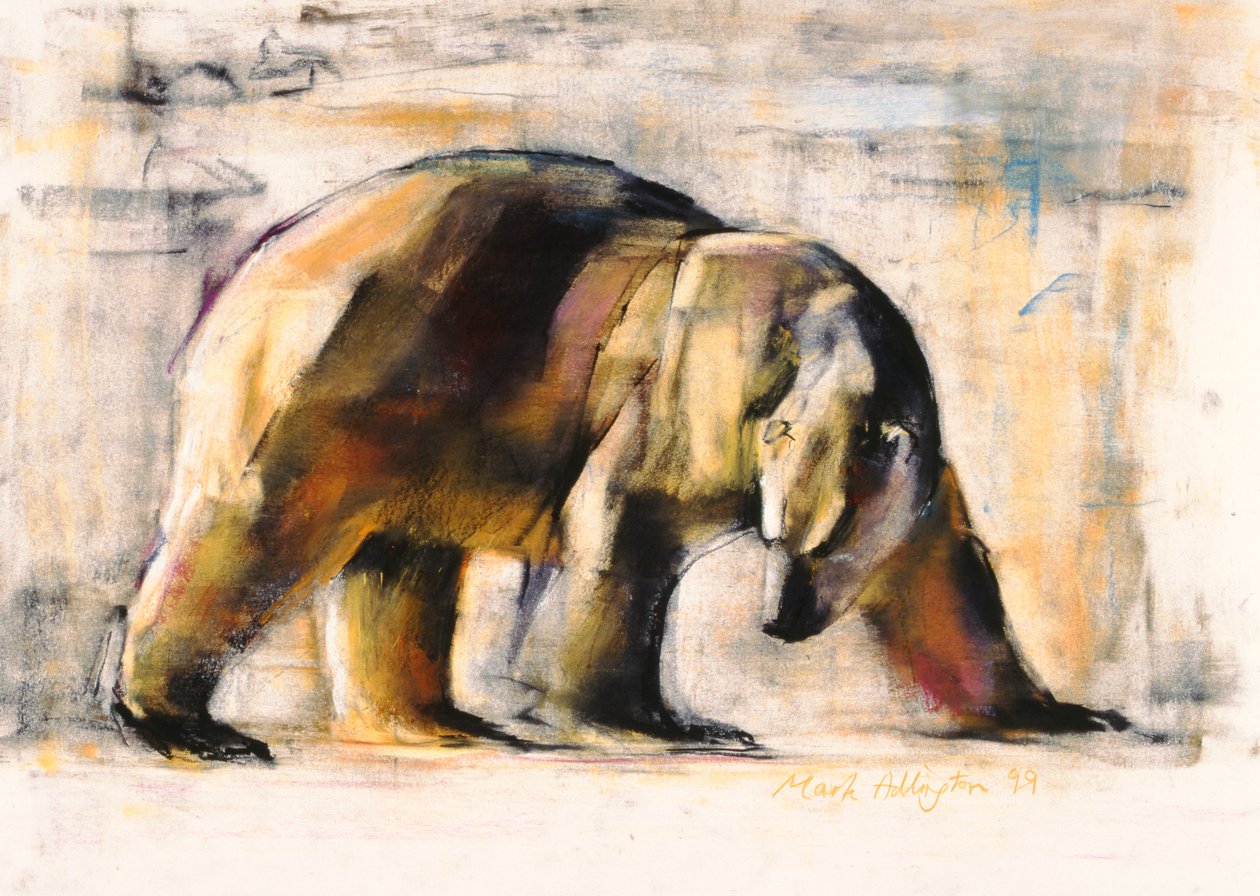 Arctic, 1999 (hiili ja conte paperilla) tekijältä Mark Adlington