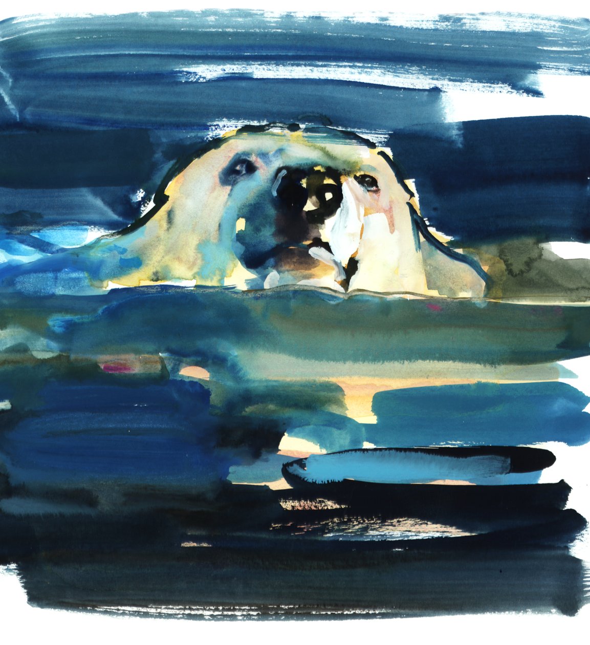 Arctic Swim, 2016, (akvarelli paperille) tekijältä Mark Adlington