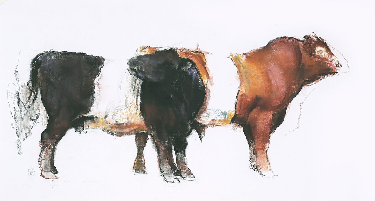 Belties, 2006 (hiili ja conte paperilla) tekijältä Mark Adlington