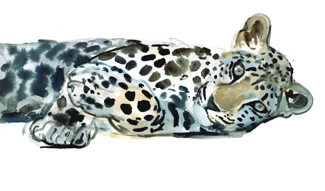 Broken Siesta, 2015, (akvarelli paperille) tekijältä Mark Adlington