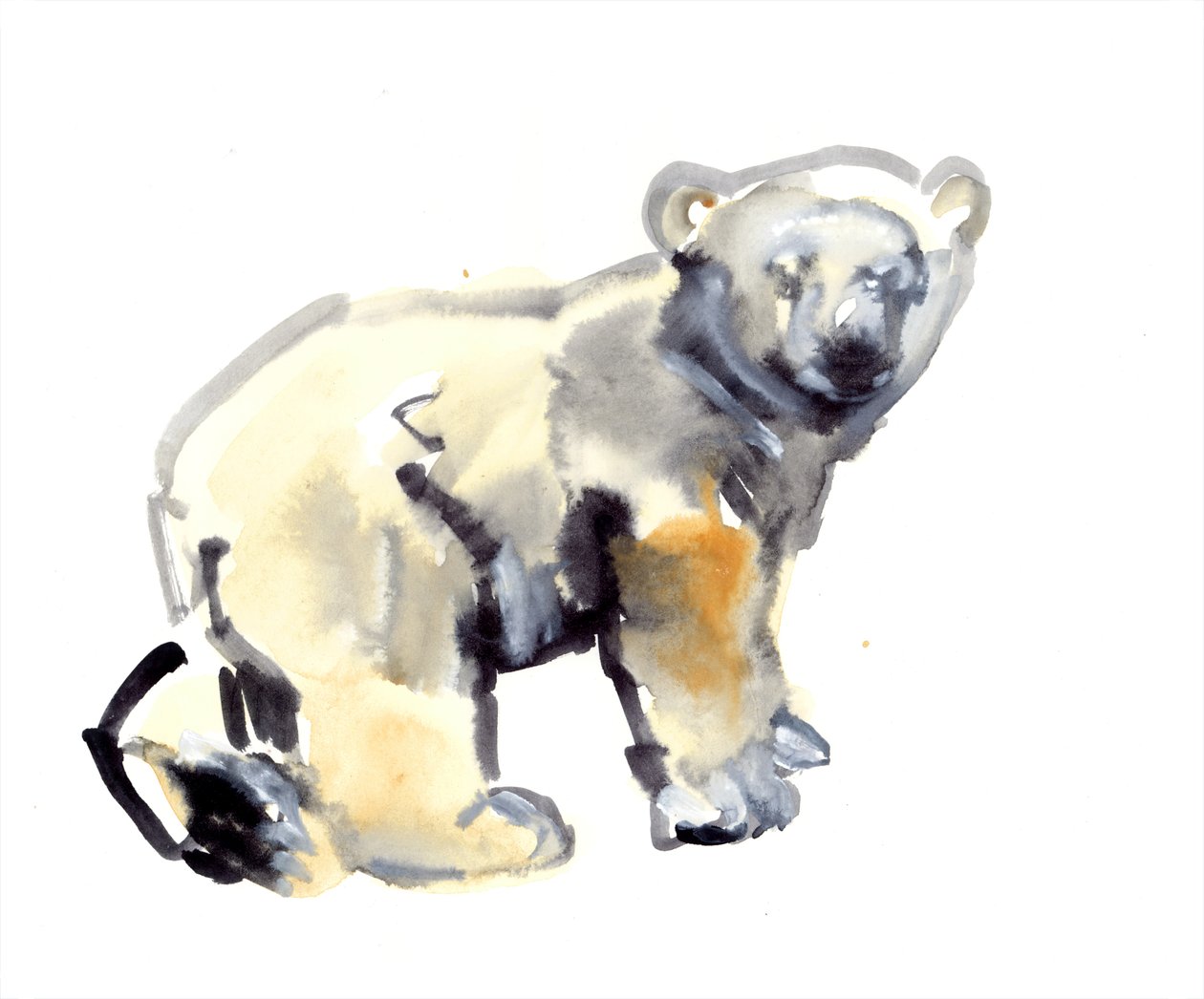 Cub, 2015, (akvarelli ja guassi paperille). tekijältä Mark Adlington