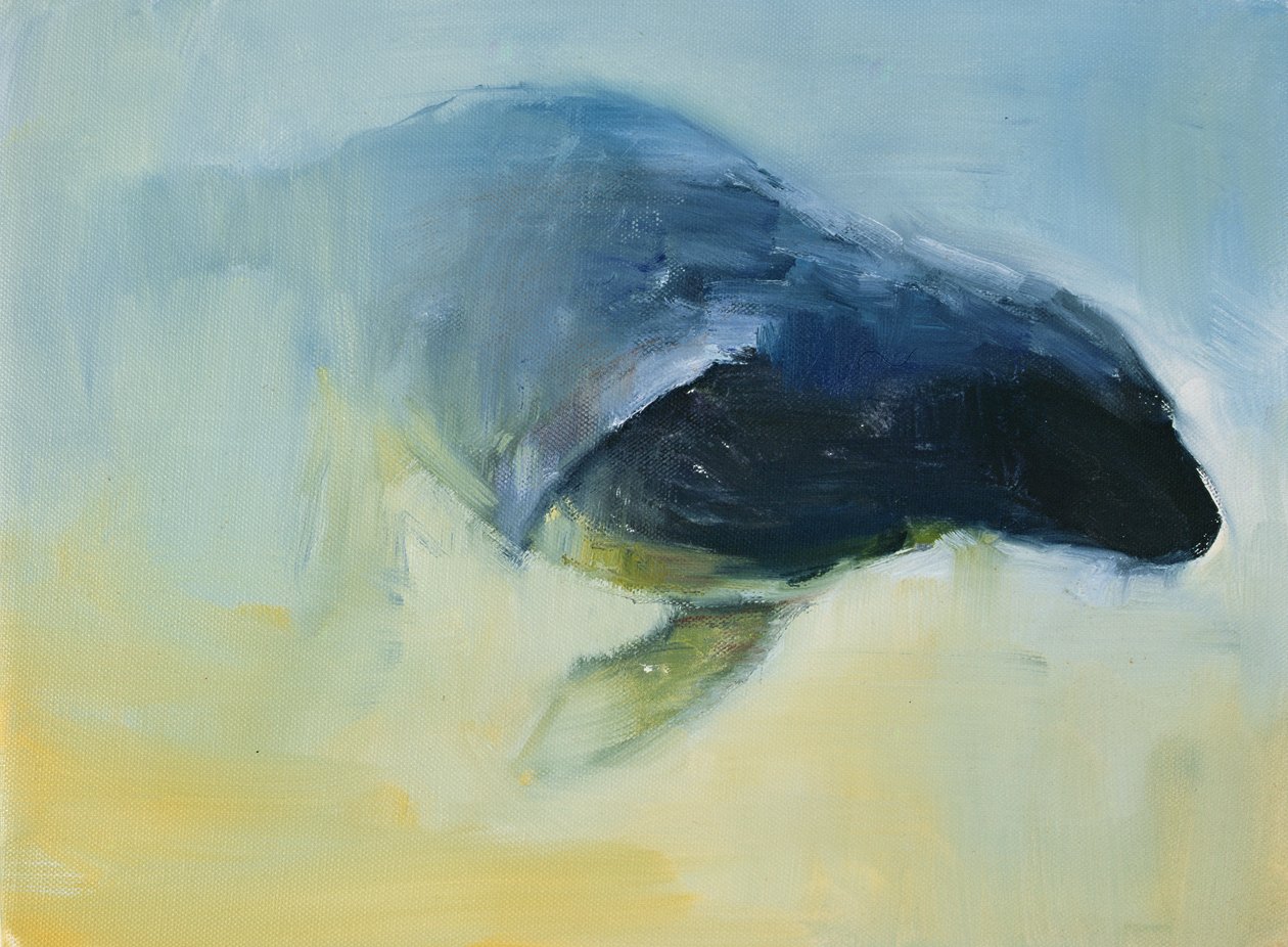 Syntyy, 2003 tekijältä Mark Adlington