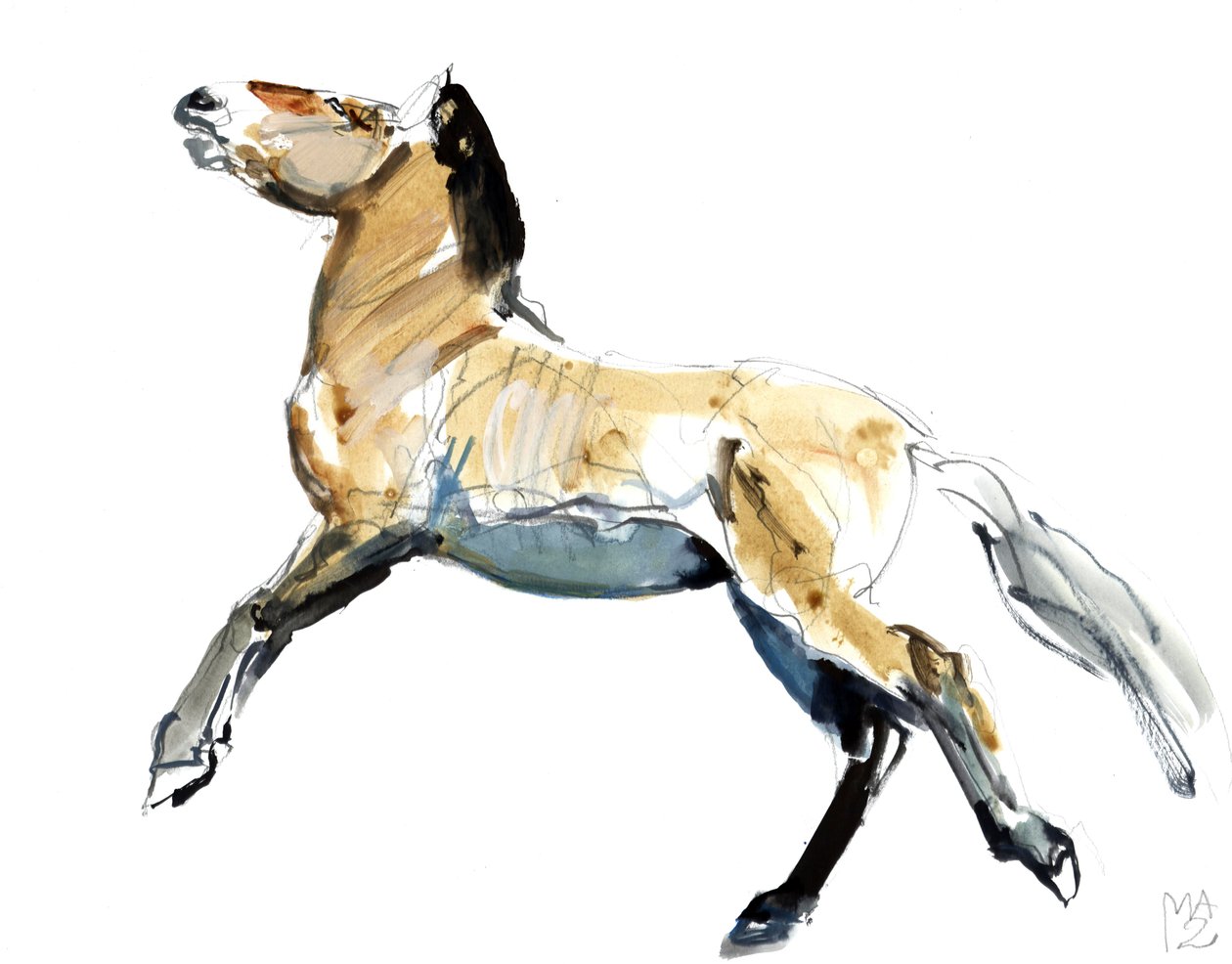 Ilmainen (Przewalski), 2012, (sekoitettu media paperille) tekijältä Mark Adlington