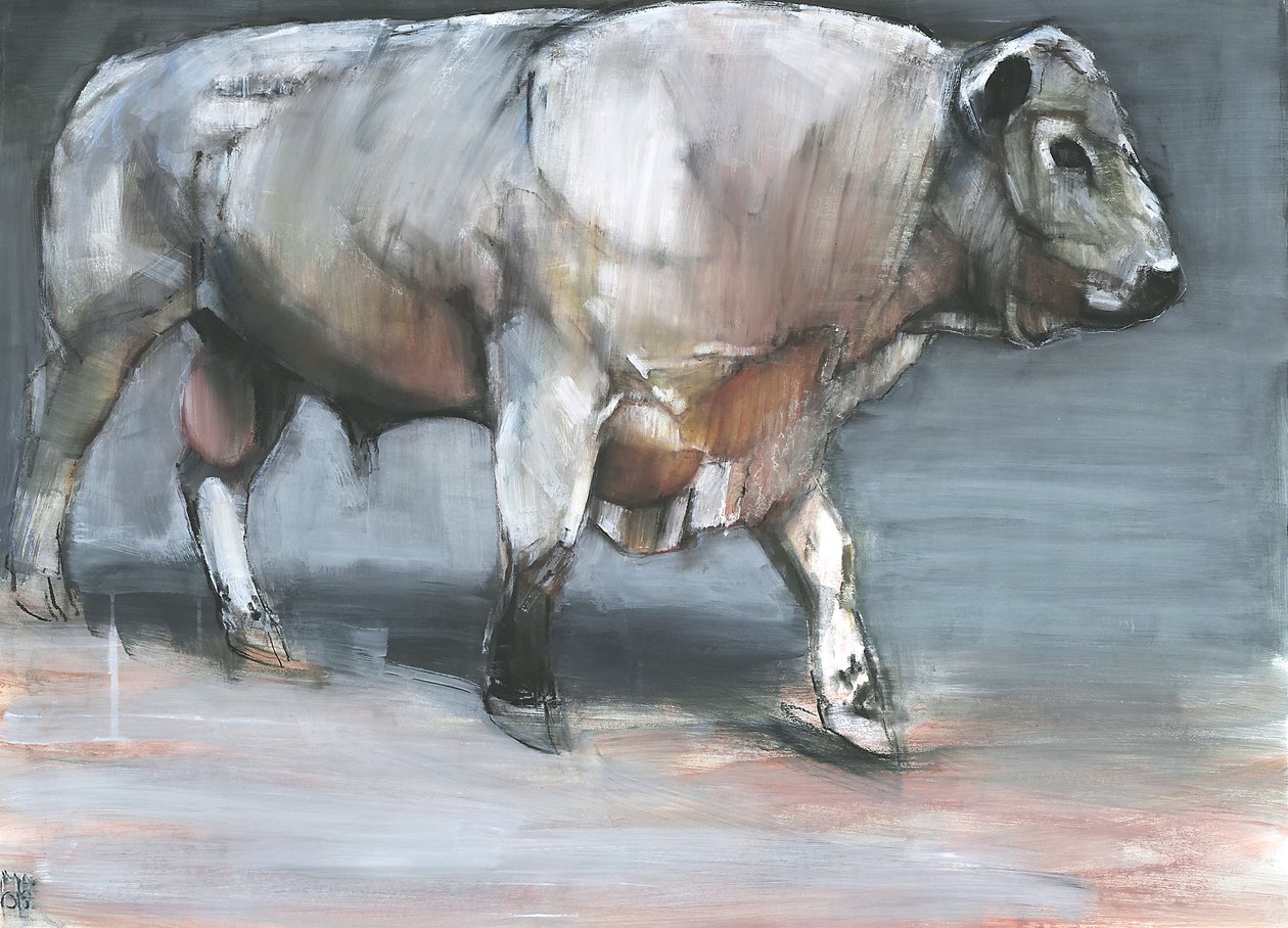 Fresno, Galloway Bull (sekoitetut materiaalit paperille) tekijältä Mark Adlington