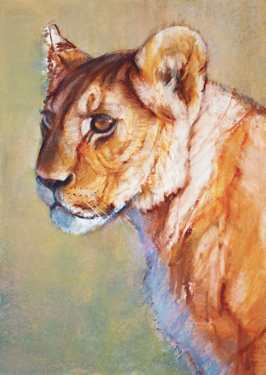 Lookout, 2019 tekijältä Mark Adlington