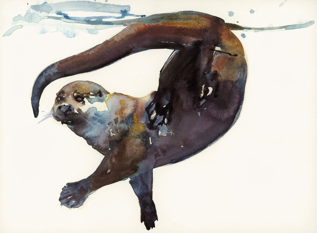 Otter Study II - "Talisker" tekijältä Mark Adlington