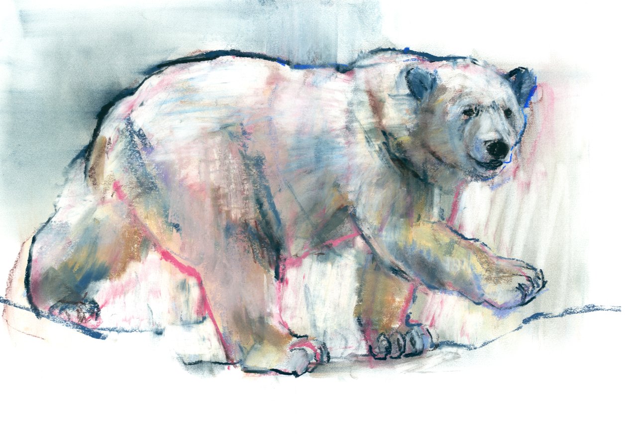 Vaaleanpunainen, 2016, (konté ja pastelli paperille) tekijältä Mark Adlington