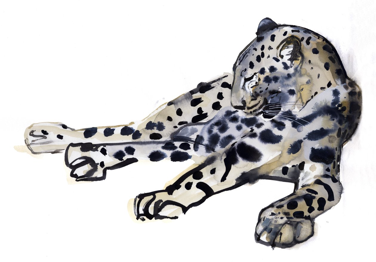 Makaava (Arabian Leopard), 2008 tekijältä Mark Adlington