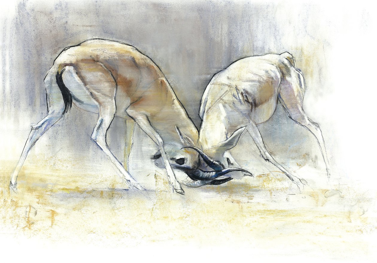 Sand Gazelles, 2009 (conte & charcoal paperilla) tekijältä Mark Adlington