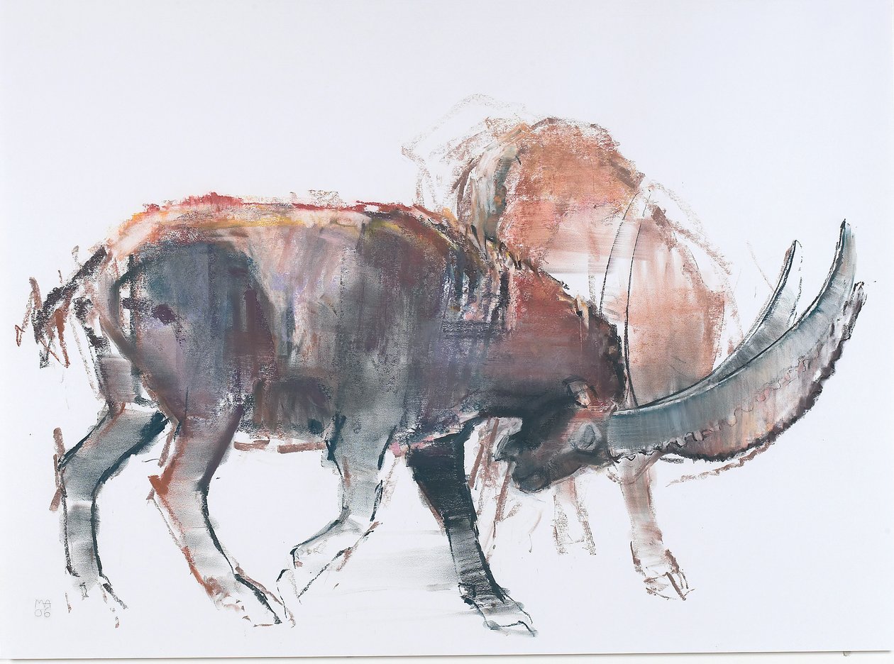 Scimitar, 2006 (hiili ja conte paperille) tekijältä Mark Adlington