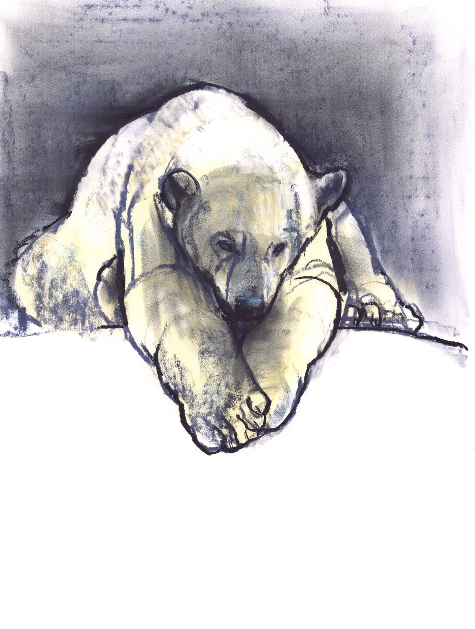 Lumikinos. 2016 (conté ja pastelli paperilla) tekijältä Mark Adlington