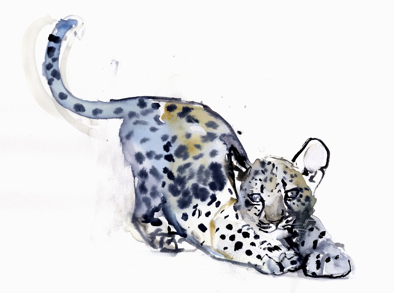 Venyttelypentu (Arabian Leopard), 2008 tekijältä Mark Adlington