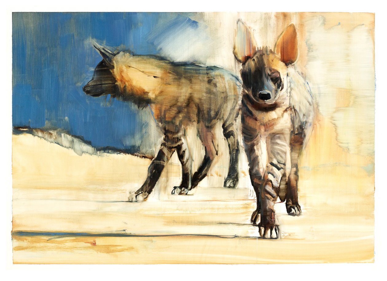 Raidalliset hyaanat, 2010 (öljy paperille) tekijältä Mark Adlington