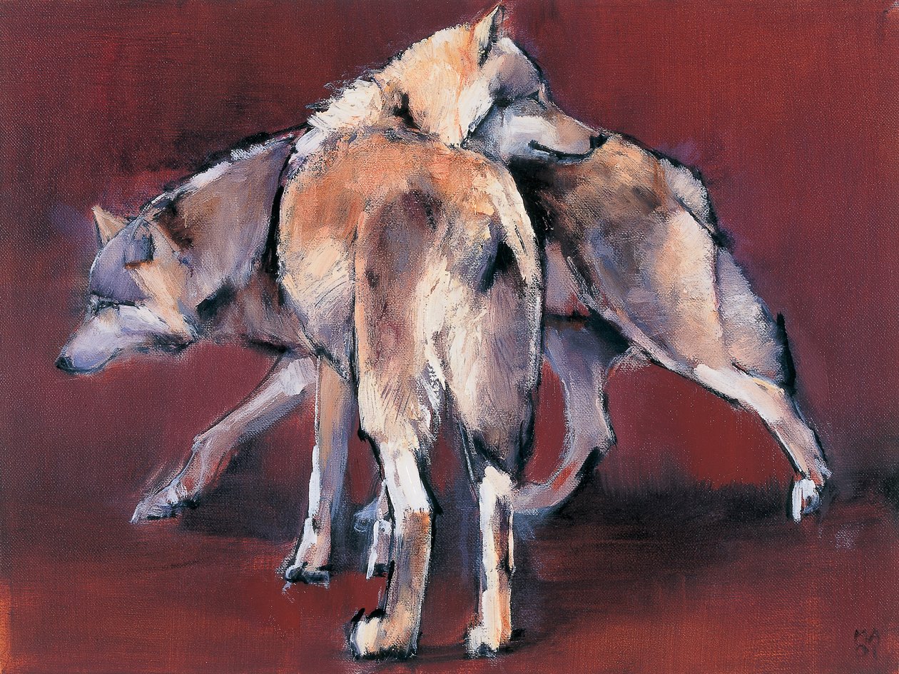Wolfin sävellys, 2001 tekijältä Mark Adlington