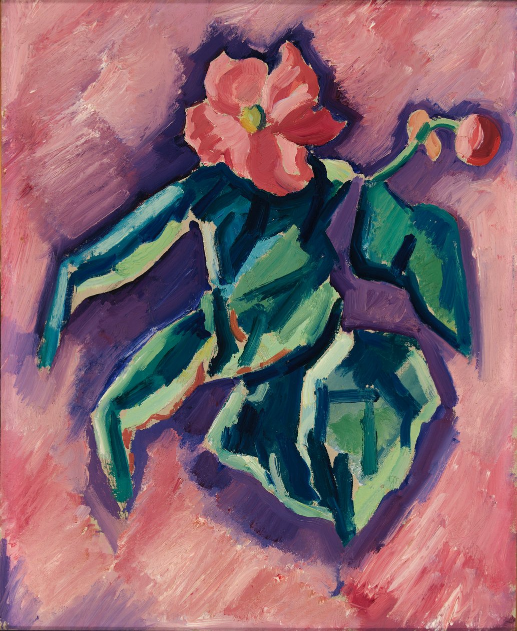 Vaaleanpunaiset begoniat, 1928-1929. tekijältä Marsden Hartley