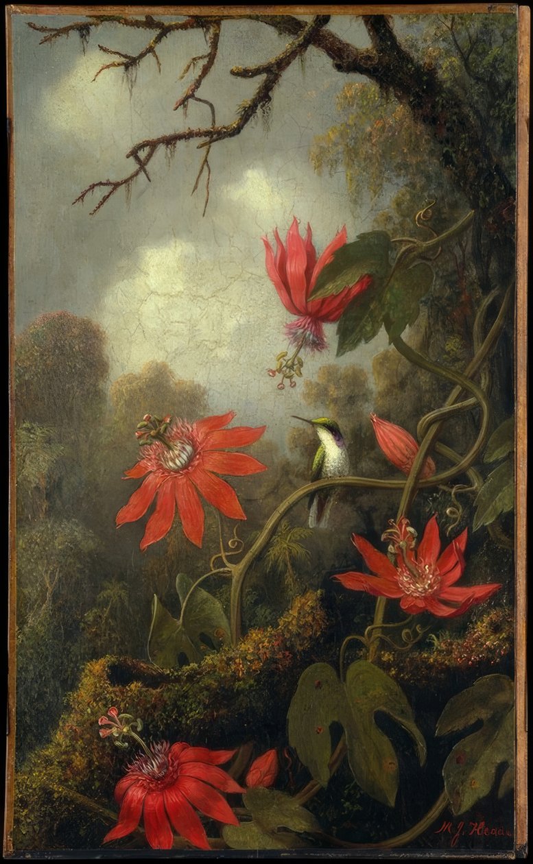 Kolibri und Passionsblumen tekijältä Martin Johnson Heade