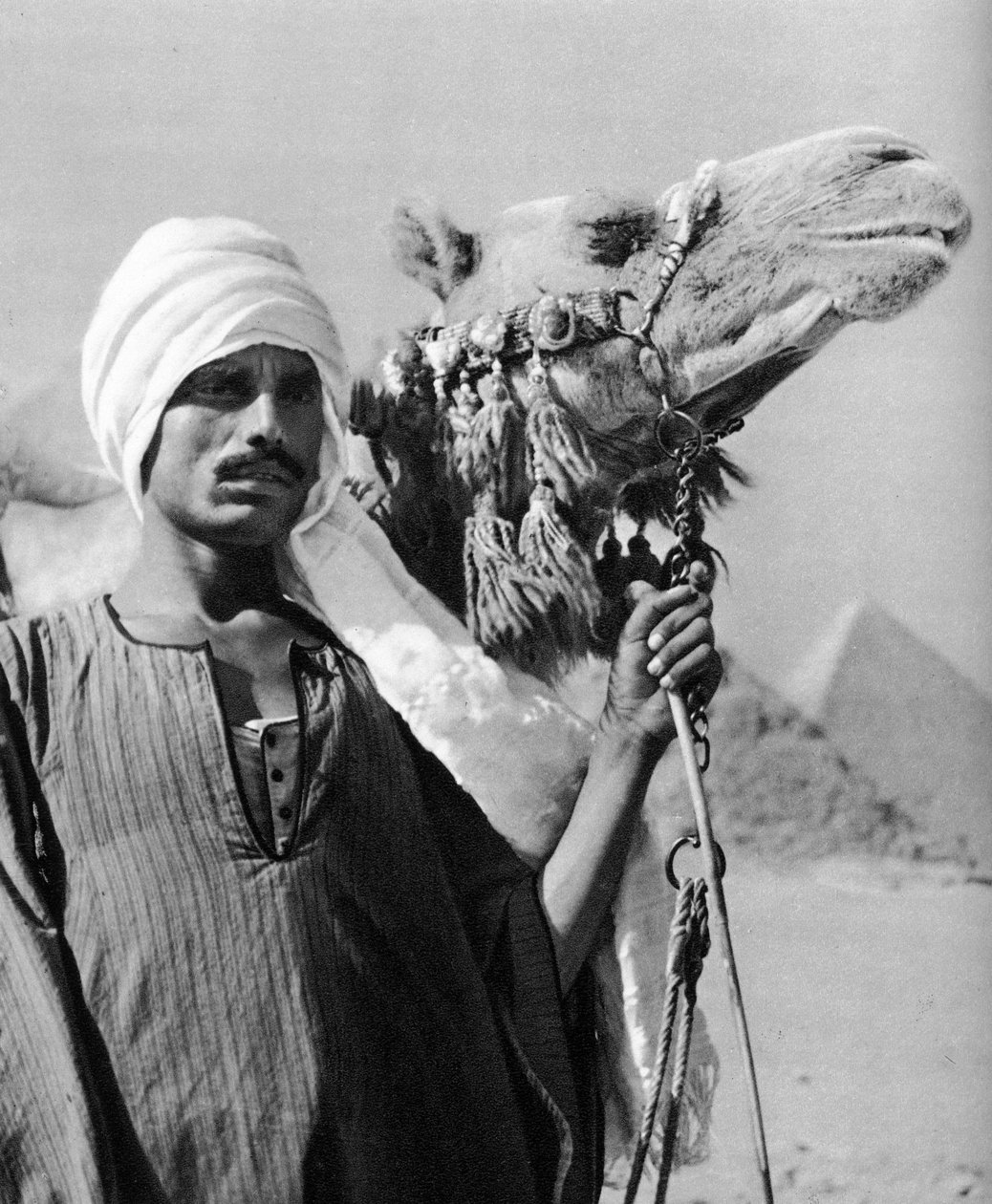 Cameldriver lähellä pyramideja, Egypti, 1937 tekijältä Martin Hurlimann