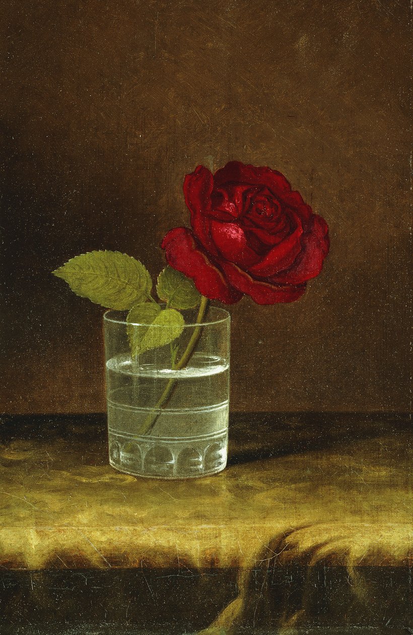Punainen ruusu, tekijältä Martin Johnson Heade